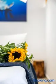 MNS Accommodations - Image 2
