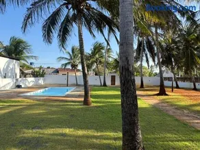 Casa Olivia - Eureka - Image 5