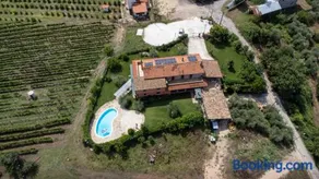 Azienda Agricola Ponterotto - Image 3