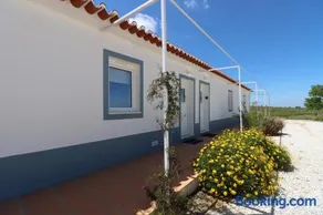 Vinhas Douradas - Image 4