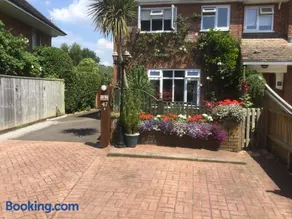Albertine ,A warm welcome awaits you ,Offering en-suite room only accommodation,Ideal location for Solent Way ,High Street ,Isle of Wight ,New Forest - Image 2
