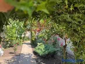 Villa Garden - Image 1