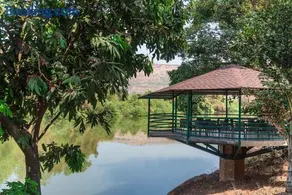 Palmwoods Retreat - Image 1