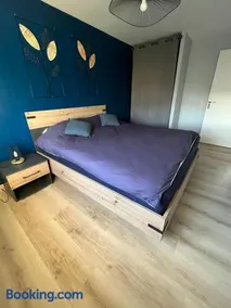 Charmant appartement Cosy porte de Colmar - Image 2