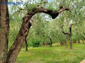 Lombardi Rita - Colle S. Martino - Image 4