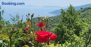 Ioni Home - Image 4