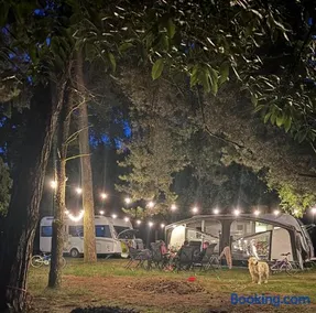 Moin Camp - Image 2