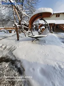 Pensiunea Valea Branzei - Image 1