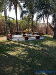 Cottage Blue palm tree nook - Image 5