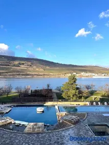 Rhein Hideaway I Balkon mit direktem Rheinblick I TG-Stellplatz inklusive - Image 3
