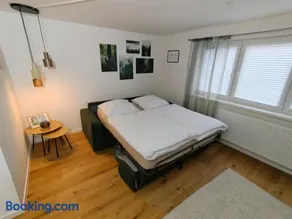 Cozy Modern Apartment in Seelbach near Europa Park - Image 5