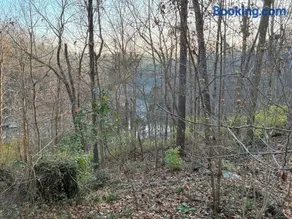 Peaceful Somerset Getaway on Lake Cumberland - Image 2