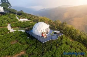Willostays Luxury Glamping vagamon - Image 2