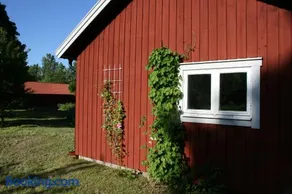 Ahornfarm Håkannäs - Image 2