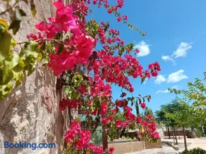 Camí Romà - Image 3