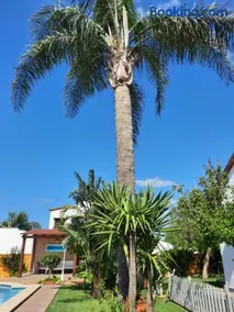 Chalet la Huerta con piscina y wifi - Image 2