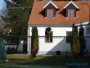 Penzion U Houšků - Image 3