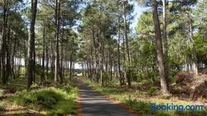 Le Carrefour des Landes - Image 3