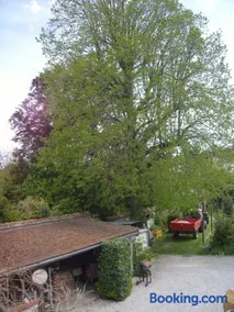 gite du vieux tilleul - Image 2