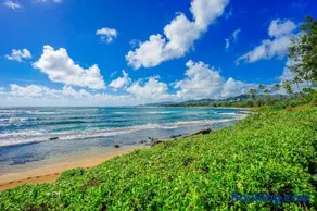 The Golden Hibiscus - Lanikai 222 - Image 2
