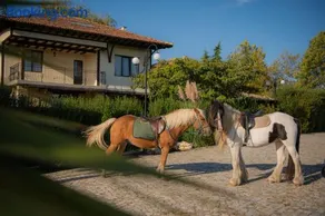 Eco Complex Albizia - Private Villas with Garden & Terrace near Byala Beach - Image 1