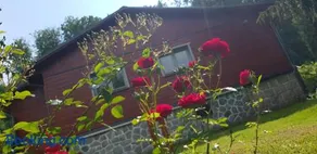 Chata SPOLUNAKOLE - Český ráj - Image 5