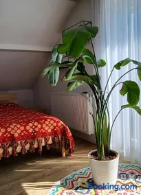 Apartment Zum Wohlfühlen - Image 1