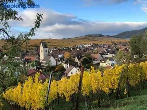 Gite Au Nid de Cigognes - Image 2
