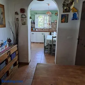 bambú - Image 4