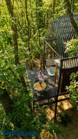 Green House - why not - Image 3