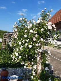 Wohnen & Schlafen im Cottage - Image 3