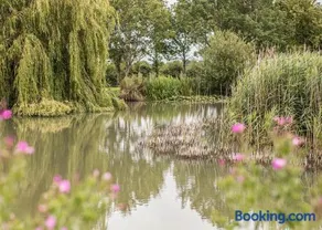 Hanworth Country Park - Image 5