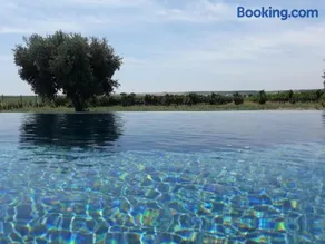 Terras - Agroturismo & Vinhos - Image 3