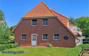 Sanddorn - Image 1