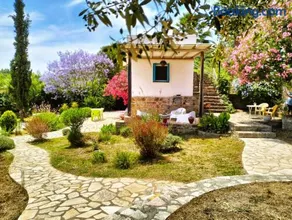 Lemon Tree Cottage - Image 2