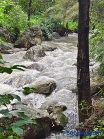 Suryas Home Stay - Image 2