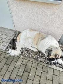Ferienwohnung im Park 1 - Image 1