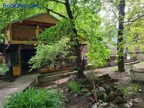 Ribarev san - Image 4