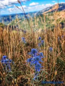 Ca' Paradiso - Cagli PU - Image 2