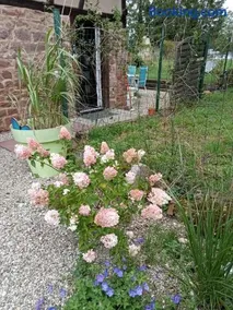 Marlibelle - Image 2