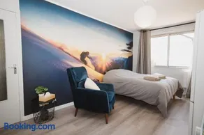 Le Skieur - Studio Cosy au coeur de Grenoble - Image 1