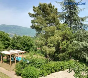 Villa Gioia relax immersi nel verde - Image 2