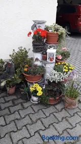 Sommerfrische - Image 5