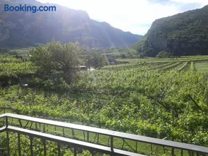 La Masera Holiday - Vigneto - Image 3