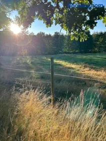 Sommartornsgård - Image 5