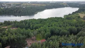 Dom w głębi lasu - Image 1