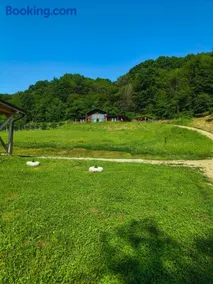 Casa cu Pădure - Image 3