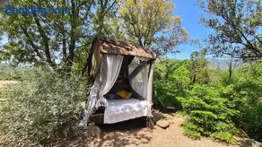A Cantina Chalet avec Piscine proche d Ajaccio - Image 5