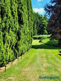 Evergreen Escape - Image 1