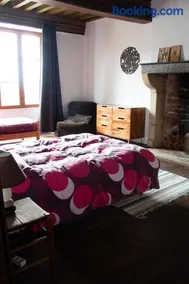 Grand logement (+ jardin surélevé) - Image 3